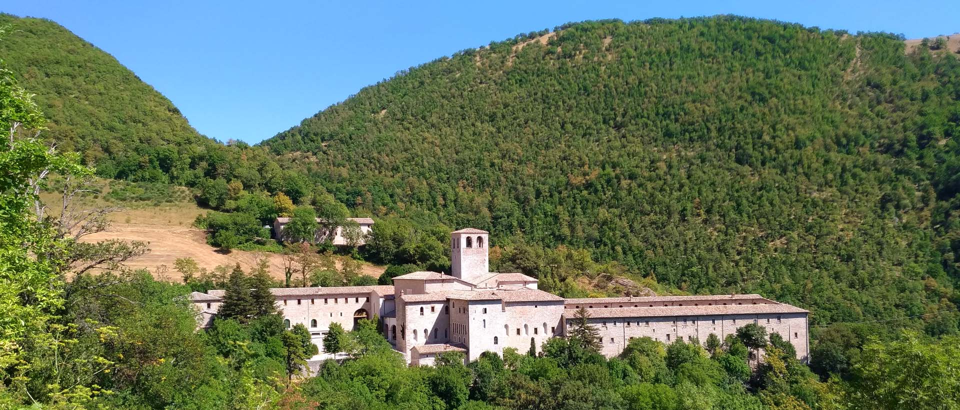 Prodotti del monastero Camaldolese di Fonte Avellana